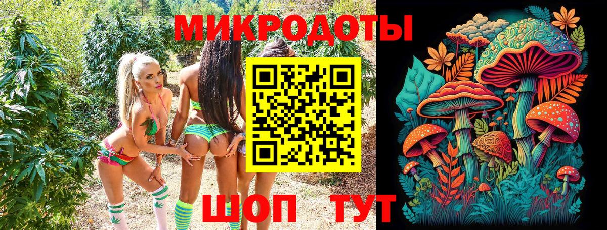 Галлюциногенные грибы GOLDEN TEACHER Санкт-Петербург