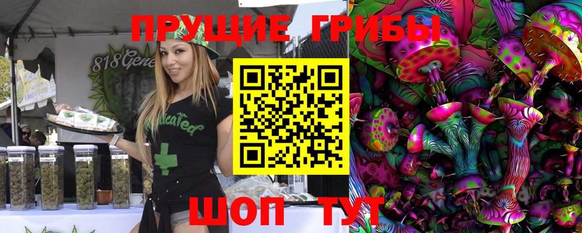 Санкт-Петербург  Галлюциногенные грибы Psilocybine cubensis  Вход с VPN 